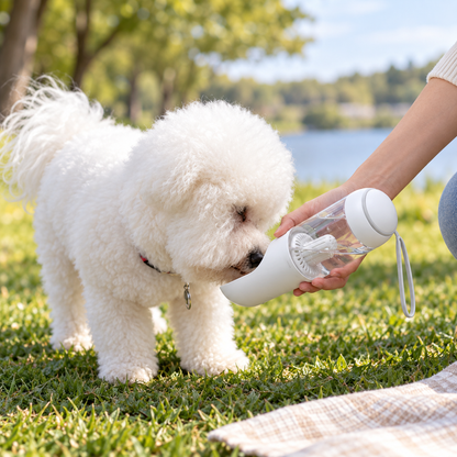 Portable Filtered Pet Water Bottle