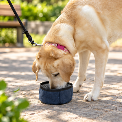 Portable Denim Pet Travel Bowl
