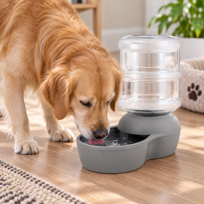 4-Gallon Gravity Pet Water Dispenser